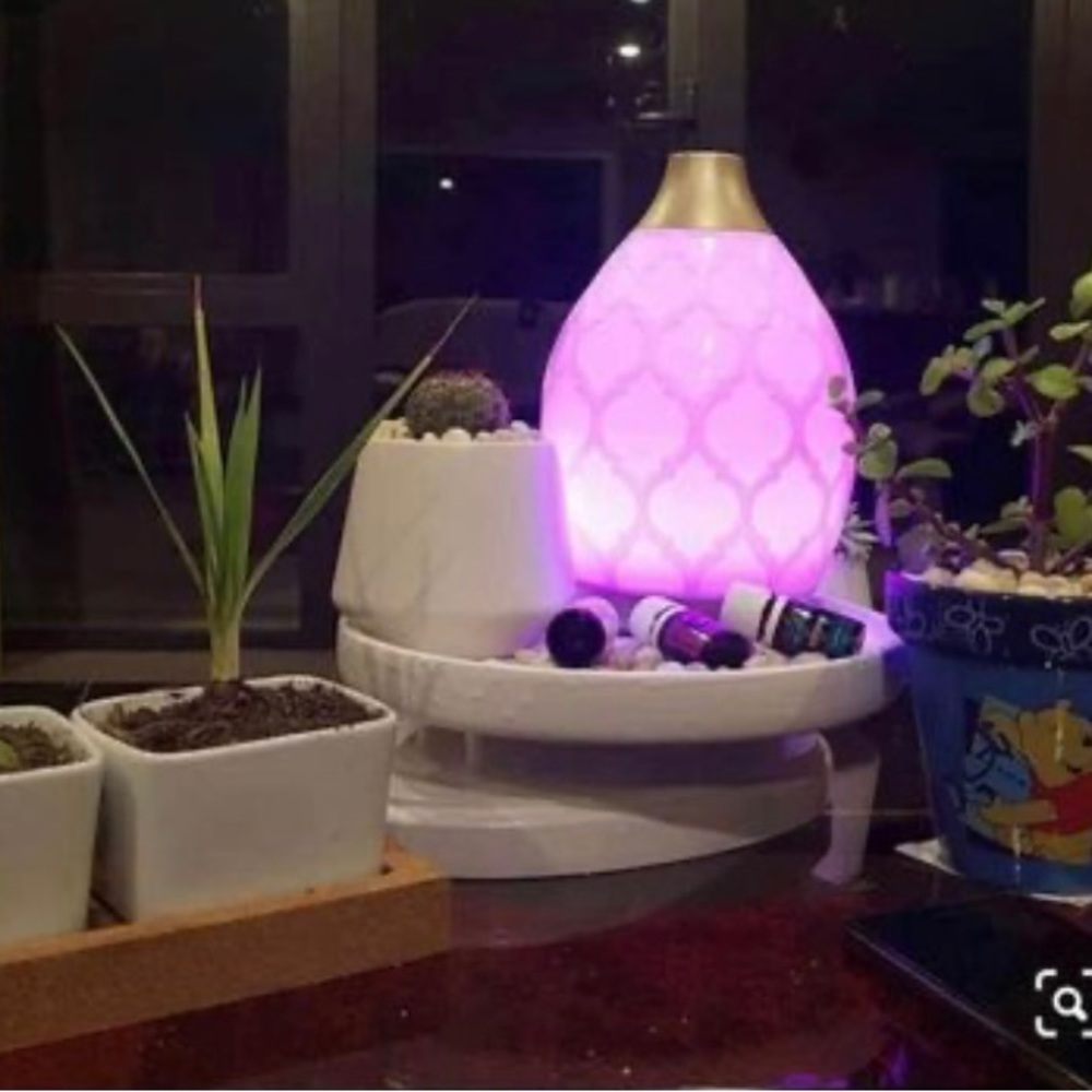 Desert Mist Diffuser + 15ml Lime Essential Oil